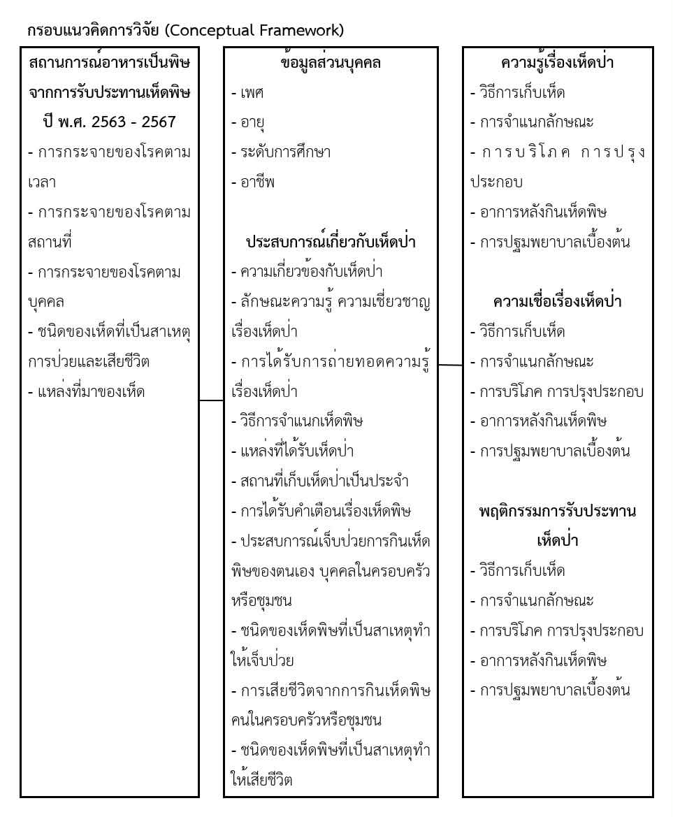 กรอบแนวคิด 3